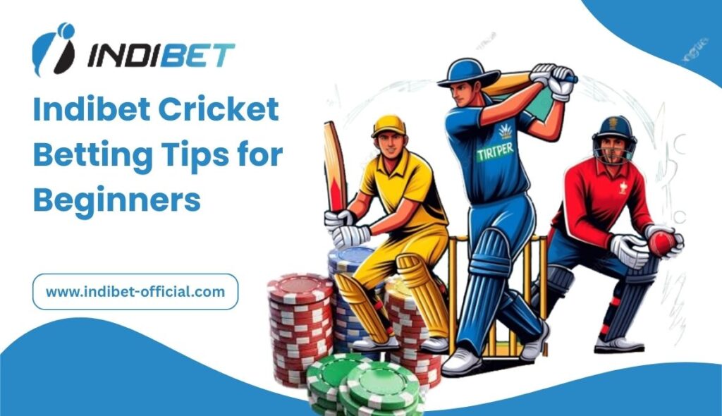 Indibet Cricket Betting Tips for Beginners